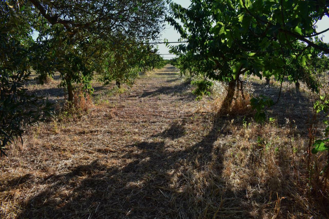 Masseria Elefante Turi Buitenkant foto